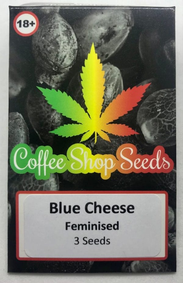 Blue Cheese Feminised Cannabis Seeds