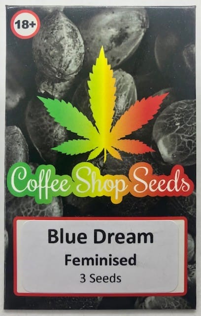 Blue Dream Feminised cannabis seeds