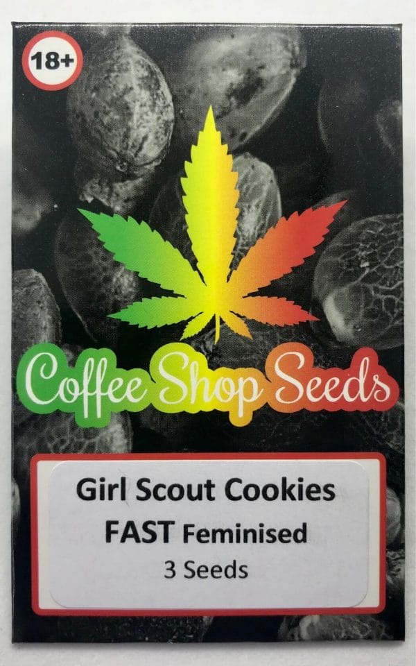Girl Scount Cookies Fast female cannabis seeds