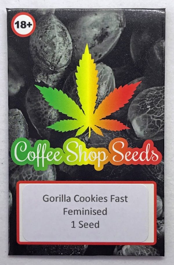 Gorilla Cookies female cannabis seeds