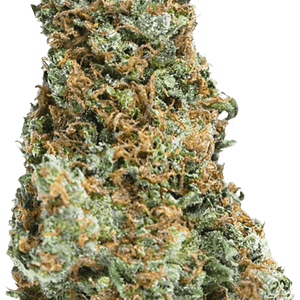 Big Bruce Feminised Cannabis Seeds by Mega Buds