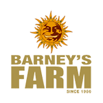 Barney's farm cannabis seed breeders
