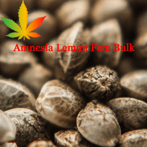 Amnesia Lemon Feminised Bulk Cannabis Seeds