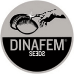Dinafem Seeds Cannabis Seed breeders