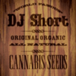 DJ Short cannabis seeds
