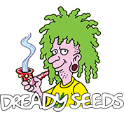 Dready Seeds