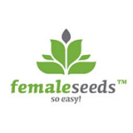 Female Seeds cannabis seeds