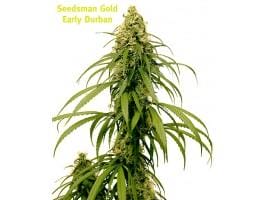 Early Durban Regular Cannabis Seeds by Seedsman