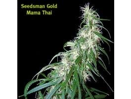 Mama Thai Regular Cannabis Seeds by Seedsman