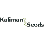 Kaliman Seeds cannabis seedbank