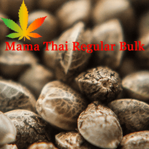 Mama Thai Regular Bulk