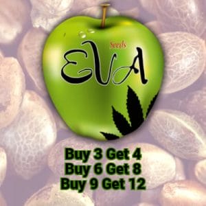 Eva Seeds - FREE Seeds