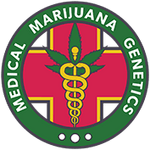 Medical marijuana Genetics Cannabis Seed breeders