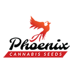 Phoenix cannabis seeds