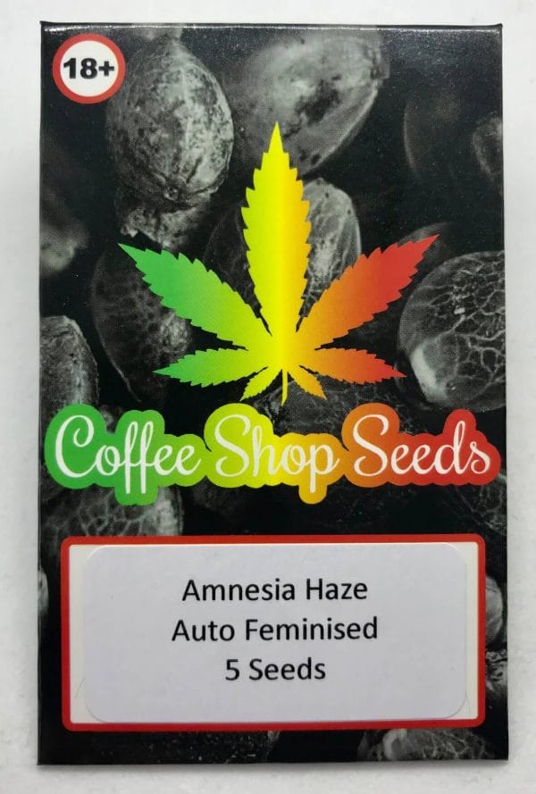 Anmesia Haze Autoflowering cannabis seeds