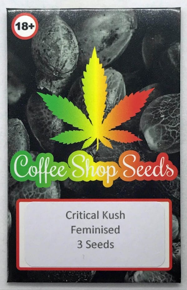 Critical Kush seeds