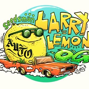 Larry Lemon OG Auto Feminised Cannabis Seeds by Seedsman
