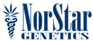 Norstar genetics