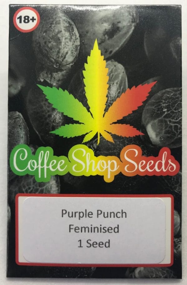 Purple punch seeds