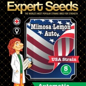 Mimosa Lemon Auto Feminised Cannabis Seeds by Expert Seeds
