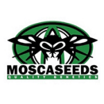 mosca Seeds cannabis seed breeders