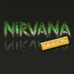 Nirvana Seeds cannabis seed breeders