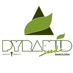 Pyramid Seeds cannabis seed breeders logo