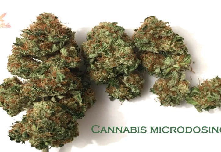 Understanding Microdosing and Medical Marijuana