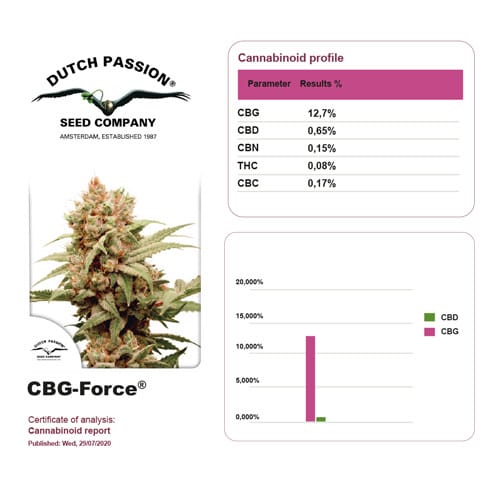 CBG-Force Feminised marijuana Seeds by Dutch Passion