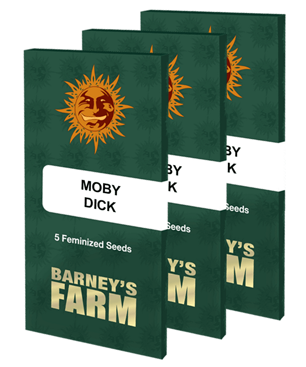 Moby Dick Feminised Cannabis Seeds by Barney's Farm