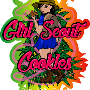 Girl Scout Cookies feminised cannabis seeds