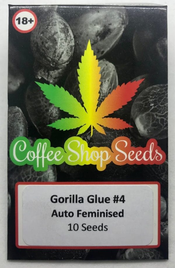 GG4 Autoflowering cannabis seeds