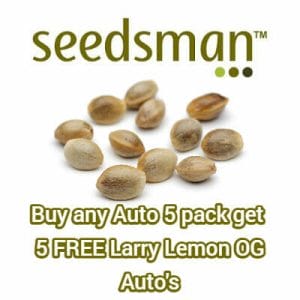 Seedsman - 5 FREE Larry Lemon Auto's