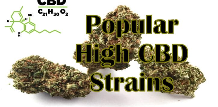 3 Popular High CBD Strains That You Need to Know About