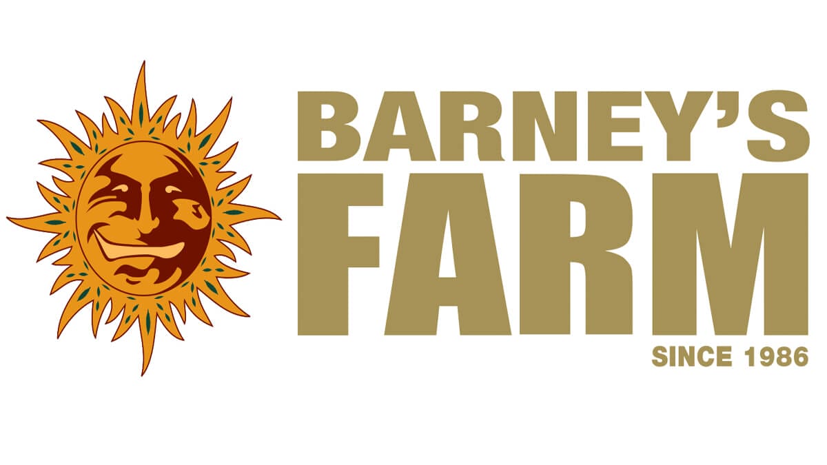 Barneys farm cannabis seed breeders