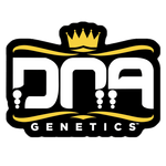 DNA Genetics marijuana seeds