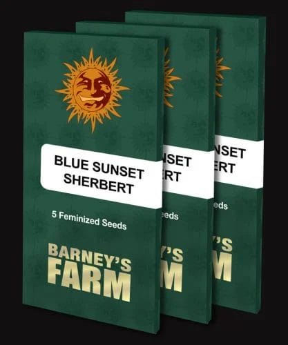 Blue Sunset Sherbert Feminised packs