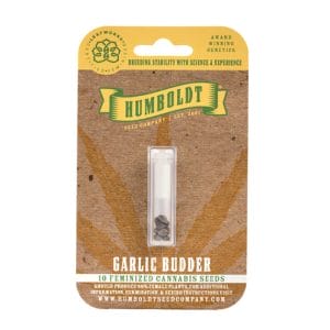 Garlic Budder Feminised Cannabis Seeds by Humboldt Seed Co.