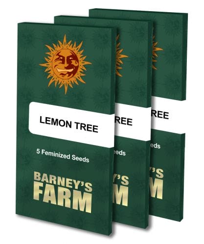 Lemon Tree Feminised Cannabis Seeds packaging by Barney's Farm