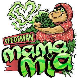 Mama Mia Auto Feminised Cannabis Seeds by Seedsman