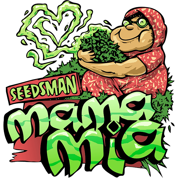 Mama Mia Auto Feminised Cannabis Seeds by Seedsman