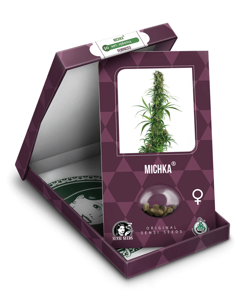 Michka Feminised Cannabis Seeds by Sensi Seeds
