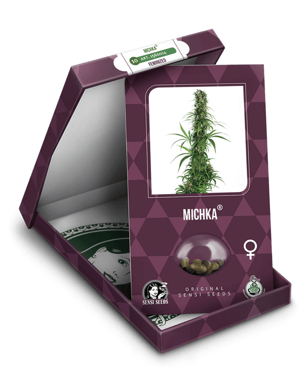 Michka Regular Cannabis Seeds by Sensi Seeds