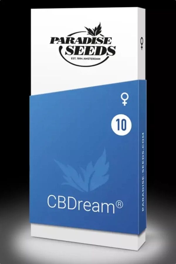 Dream CBD Feminised Seeds