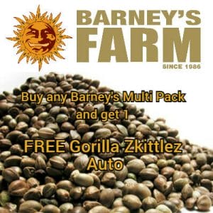 Barney's Farm - FREE Gorilla Zkittlez Auto