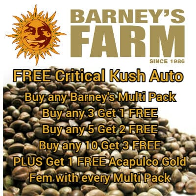 Barney's Farm Free Seeds promotion