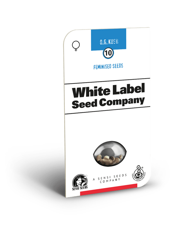 OG Kush Feminised Cannabis Seeds by White Label Seed Company