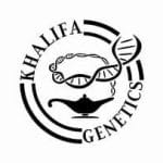 Khalifa Genetics