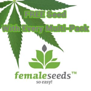 Female Seeds - FREE Seed