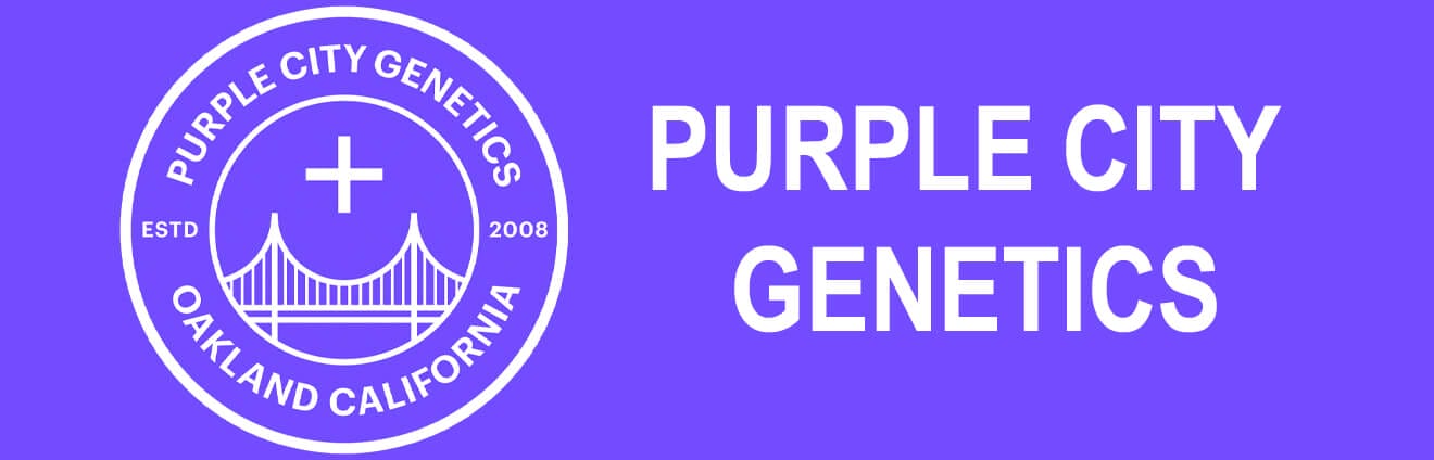 Purple City Genetics Logo Banner